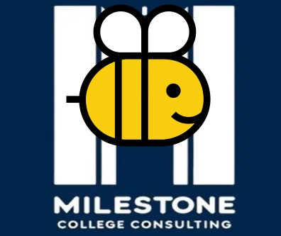 NYT-Style Spelling Bee Now Ready to Play!