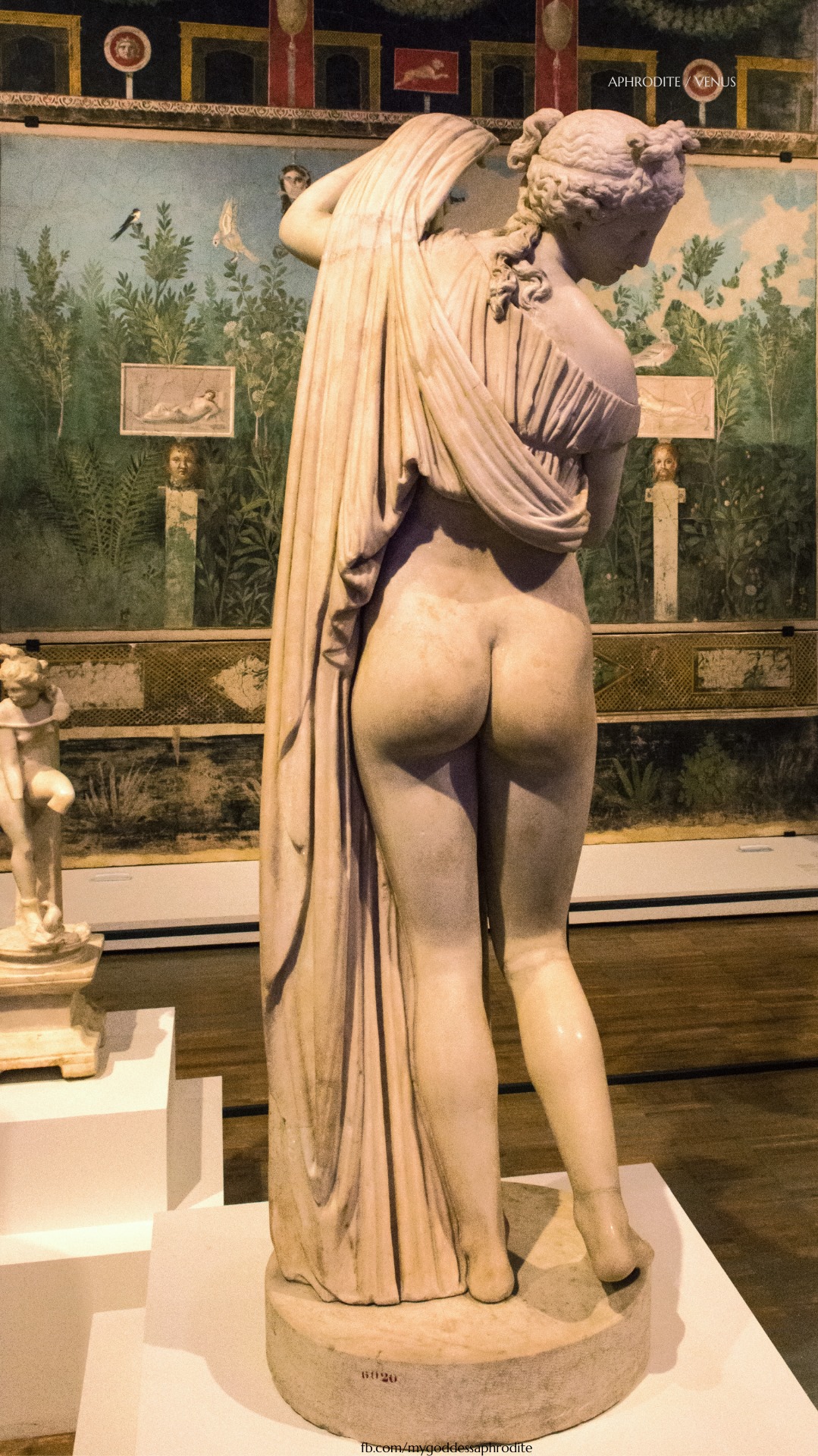 If You Know, You Know: A Beautiful Butt